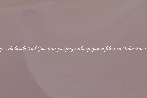 Buy Wholesale And Get Your yueqing sailaoqi gauze filter co Order For Less