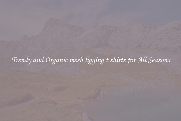 Trendy and Organic mesh ligging t shirts for All Seasons
