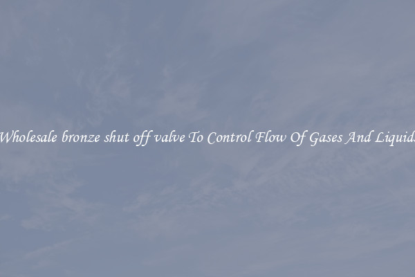 Wholesale bronze shut off valve To Control Flow Of Gases And Liquids