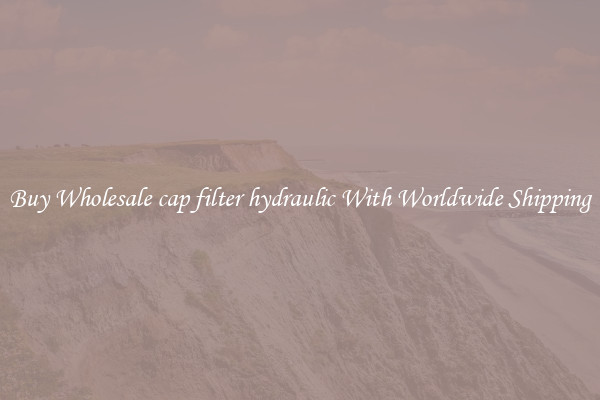  Buy Wholesale cap filter hydraulic With Worldwide Shipping 