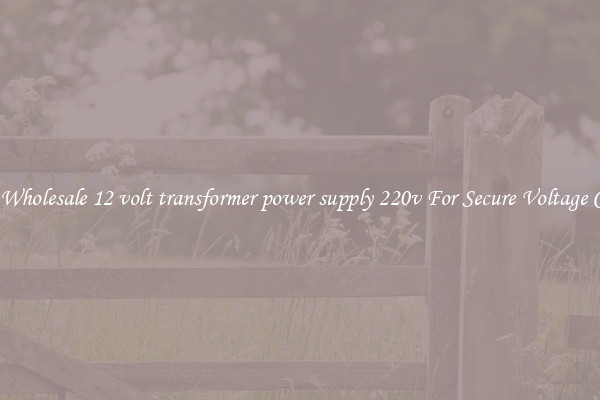 Get A Wholesale 12 volt transformer power supply 220v For Secure Voltage Control