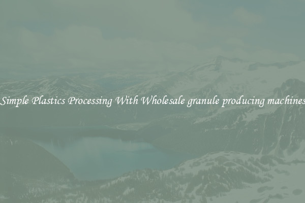 Simple Plastics Processing With Wholesale granule producing machines