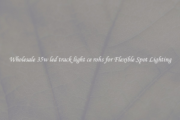 Wholesale 35w led track light ce rohs for Flexible Spot Lighting