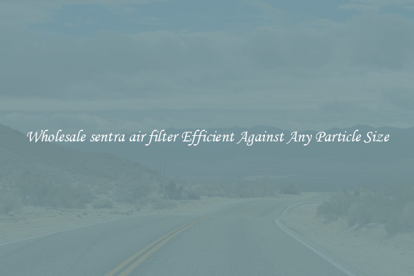 Wholesale sentra air filter Efficient Against Any Particle Size