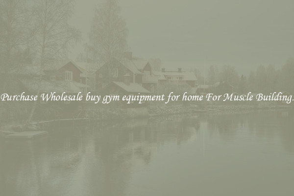 Purchase Wholesale buy gym equipment for home For Muscle Building.