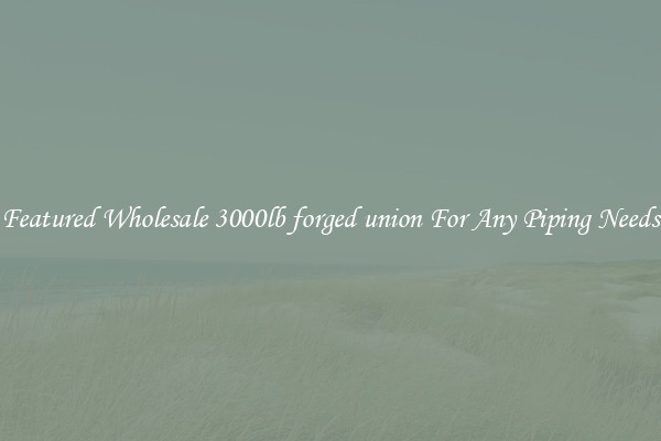 Featured Wholesale 3000lb forged union For Any Piping Needs
