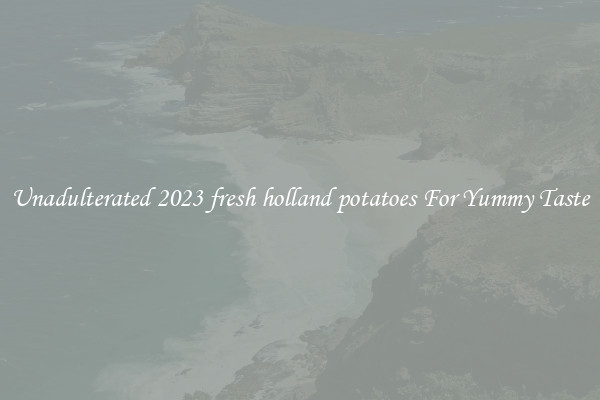 Unadulterated 2023 fresh holland potatoes For Yummy Taste