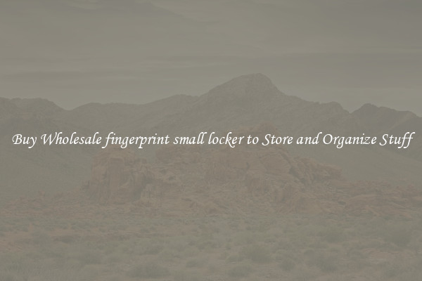 Buy Wholesale fingerprint small locker to Store and Organize Stuff
