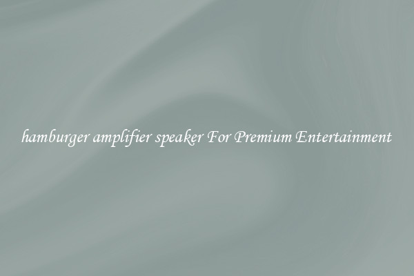 hamburger amplifier speaker For Premium Entertainment 