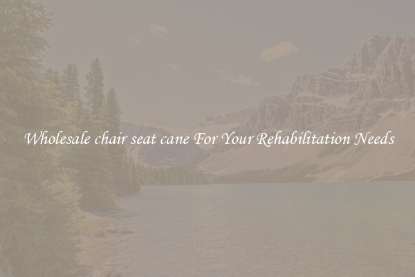 Wholesale chair seat cane For Your Rehabilitation Needs