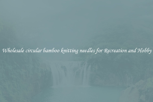 Wholesale circular bamboo knitting needles for Recreation and Hobby