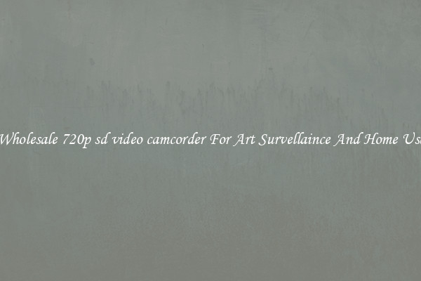Wholesale 720p sd video camcorder For Art Survellaince And Home Use