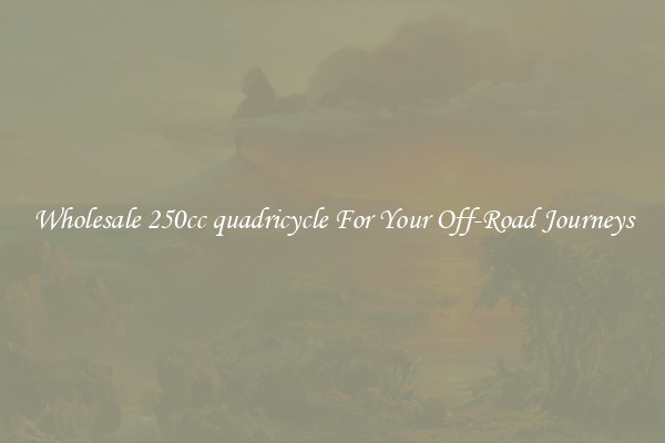 Wholesale 250cc quadricycle For Your Off-Road Journeys