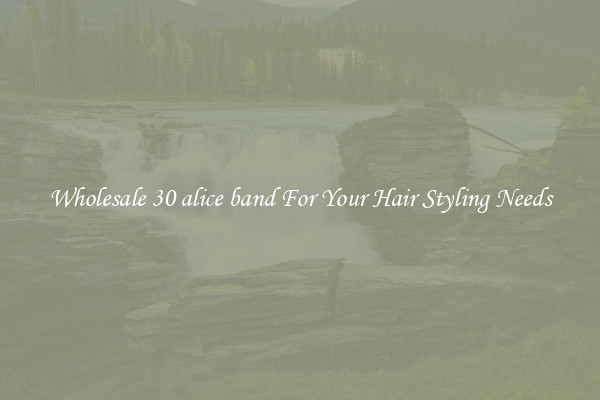 Wholesale 30 alice band For Your Hair Styling Needs
