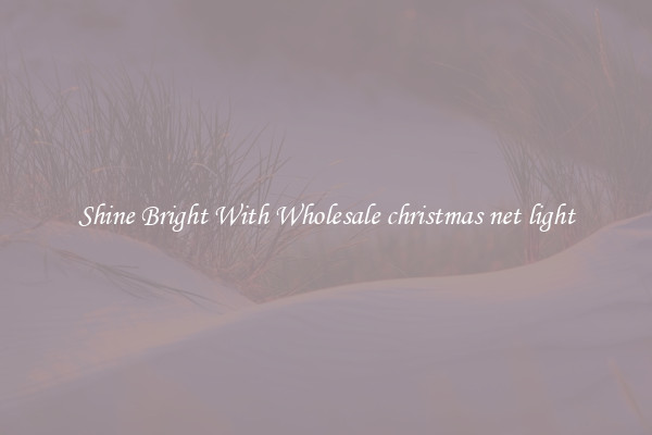 Shine Bright With Wholesale christmas net light