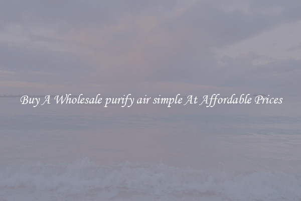 Buy A Wholesale purify air simple At Affordable Prices