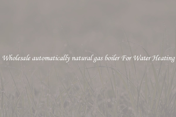 Wholesale automatically natural gas boiler For Water Heating