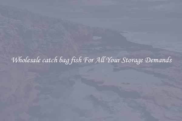 Wholesale catch bag fish For All Your Storage Demands