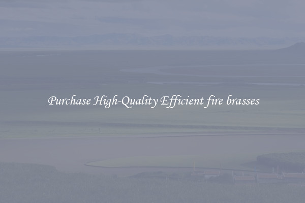 Purchase High-Quality Efficient fire brasses