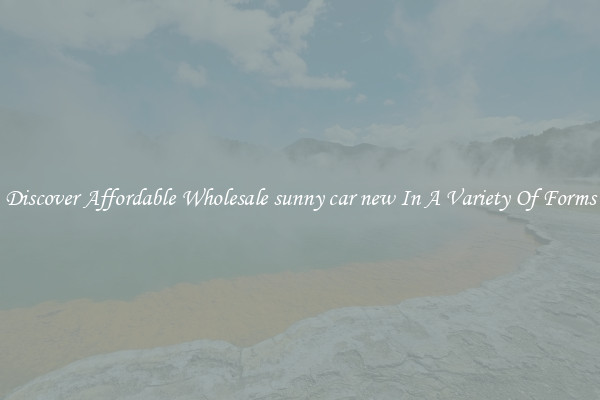 Discover Affordable Wholesale sunny car new In A Variety Of Forms