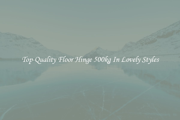 Top-Quality Floor Hinge 500kg In Lovely Styles