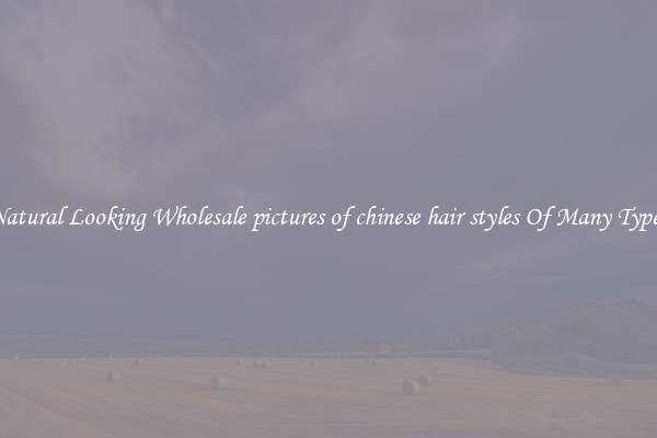 Natural Looking Wholesale pictures of chinese hair styles Of Many Types