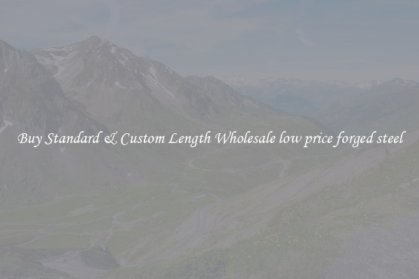 Buy Standard & Custom Length Wholesale low price forged steel