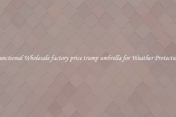 Functional Wholesale factory price trump umbrella for Weather Protection 
